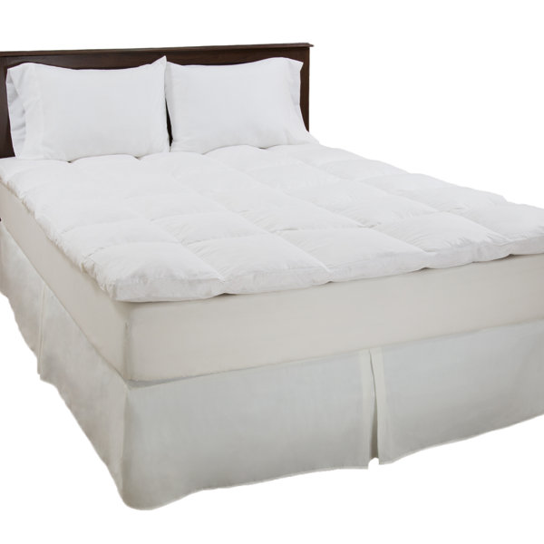 PLYH 2" Duck Feathers Mattress Topper & Reviews Wayfair